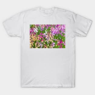 Linaria maroccana, Linaria 'Northern Lights' T-Shirt